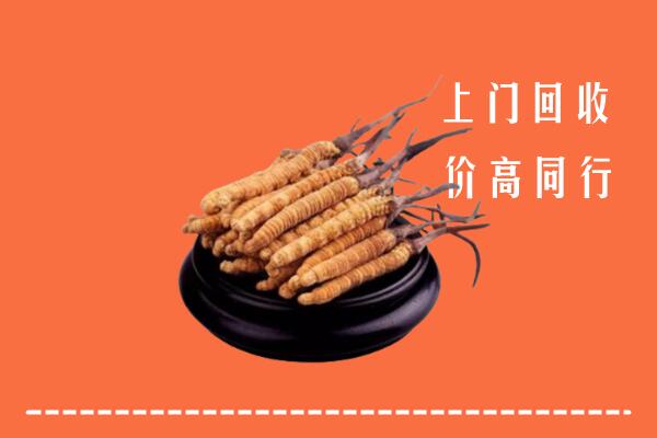 高价求购：抚州乐安县回收散虫草