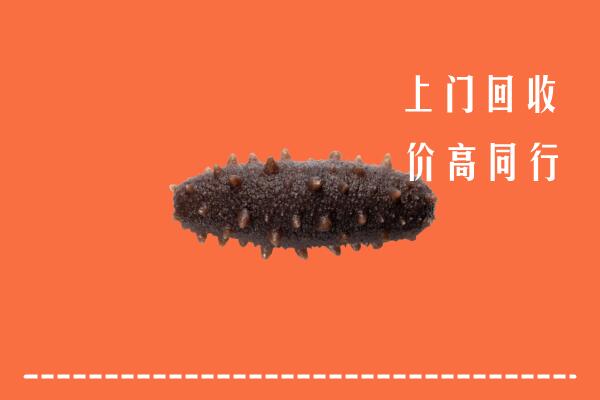高价求购：抚州乐安县回收海参