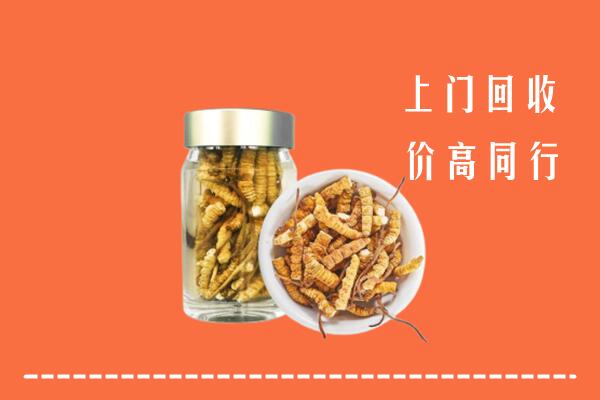 抚州乐安县回收冬虫夏草