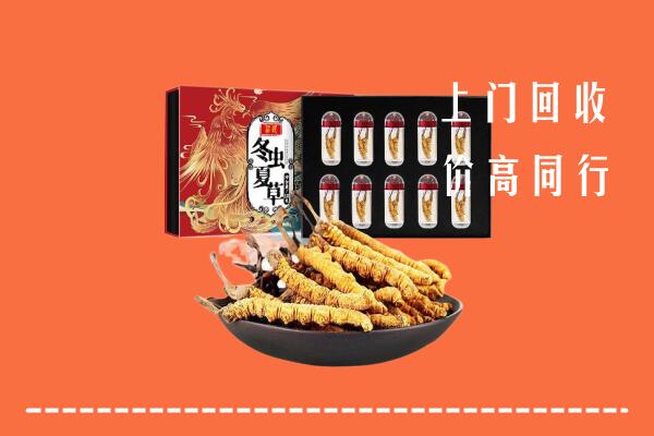 抚州乐安县回收虫草
